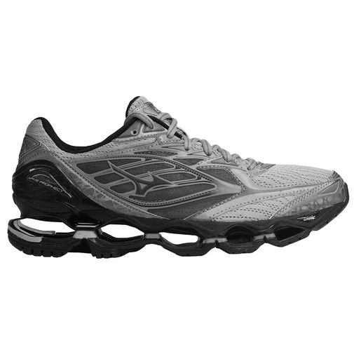mizuno 6 wave prophecy